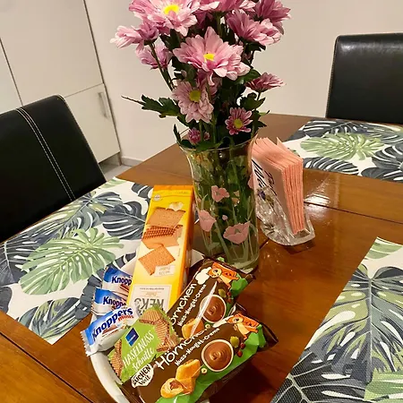 Apartman Ruhe Und Komfort Im Zentrum Von *